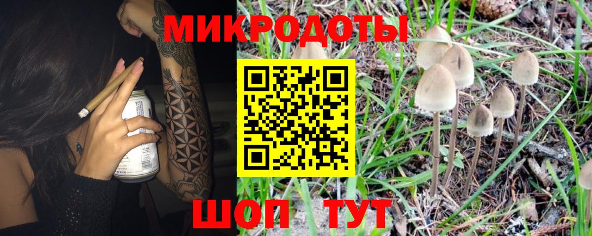 Псилоцибиновые грибы прущие грибы  Псилоцибиновые грибы GOLDEN TEACHER  Вход с VPN  Камышин 