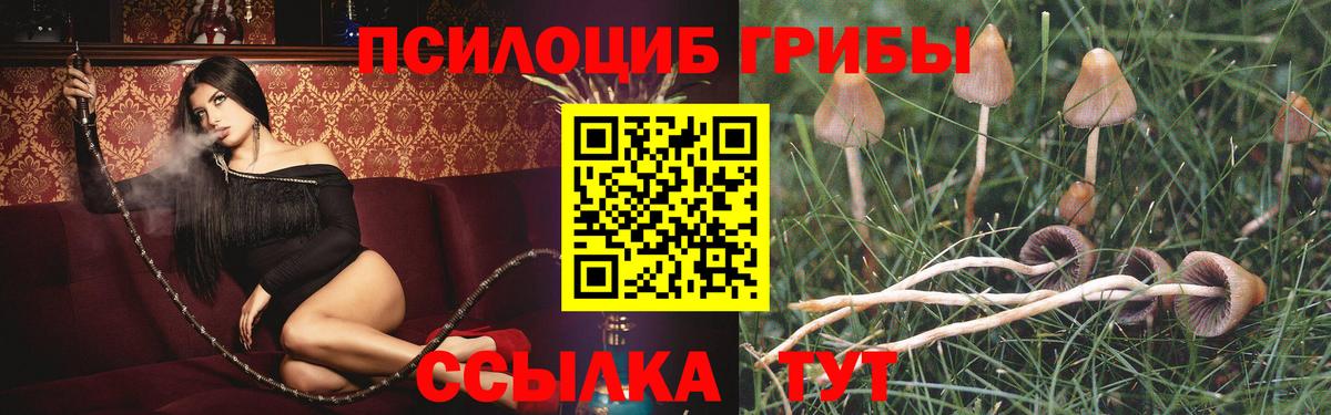 Галлюциногенные грибы прущие грибы Камышин